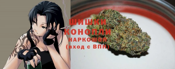гашик Михайлов