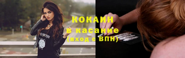 гашик Михайлов