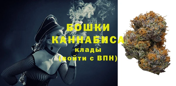 гашик Михайлов