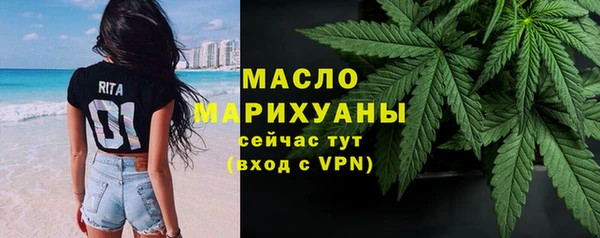 гашик Михайлов