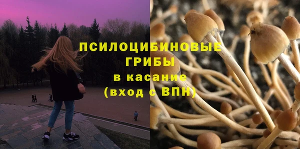 прущая мука Михайловск