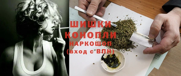 гашик Михайлов