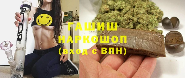 гашик Михайлов